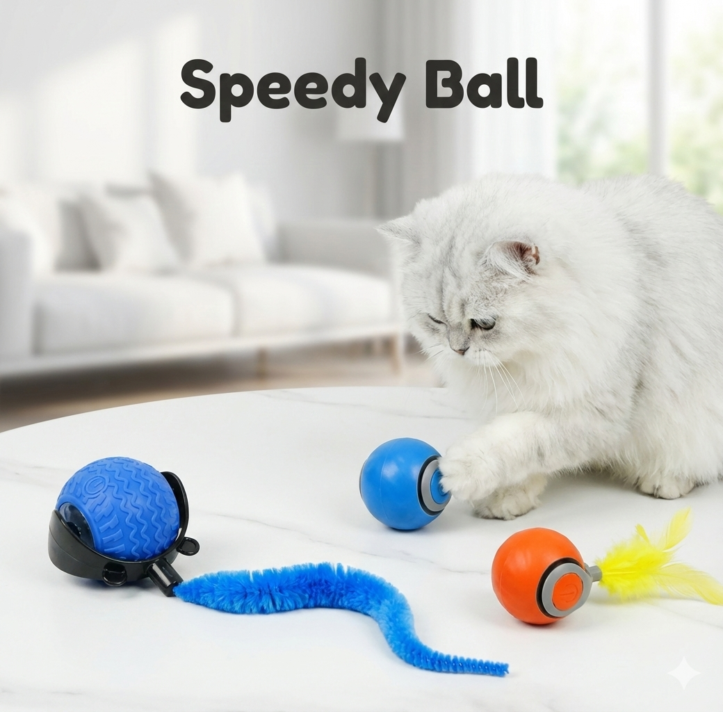 SPEEDY BALL