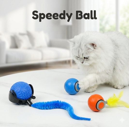 SPEEDY BALL